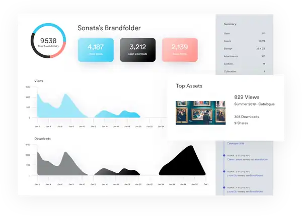 Brandfolder asset insights dashboard