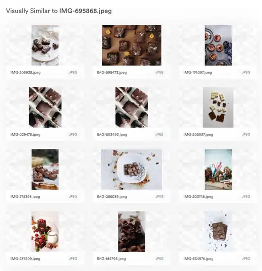 Brandfolder visual search results