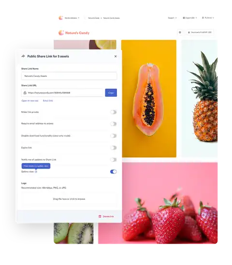 Brandfolder share link settings